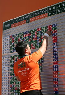 米兰体育平台-世界青少年搏击锦标赛中国群英尽展风采，青少年搏击公开赛